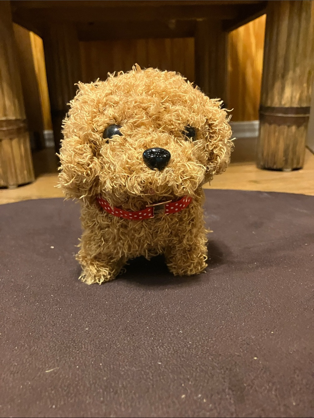 Cute Plush Curly Brown Puppy with Red Polka Dot Collar